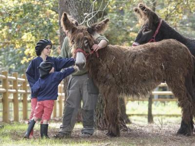 Center Parcs Le Bois aux Daims