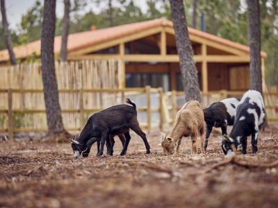 Center Parcs Les Landes de Gascogne