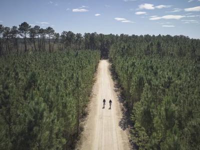 Center Parcs Les Landes de Gascogne