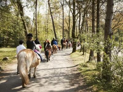 Center Parcs Het Meerdal