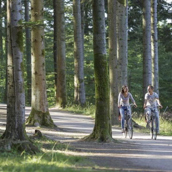 Center Parcs Les Trois Forêts